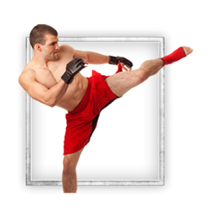 Mixed martial arts PNG, MMA PNG-70399